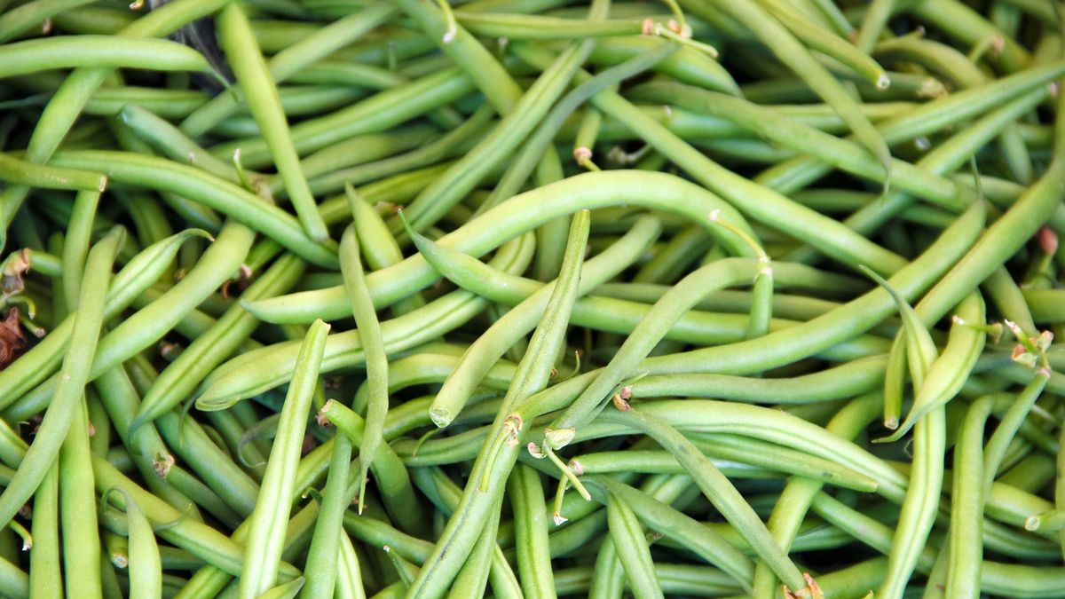 https://hips.hearstapps.com/hmg-prod/images/fresh-vs-canned-green-beans-health-benefits-1524600551.jpg?crop=1xw:0.84375xh;center,top&resize=1200:*