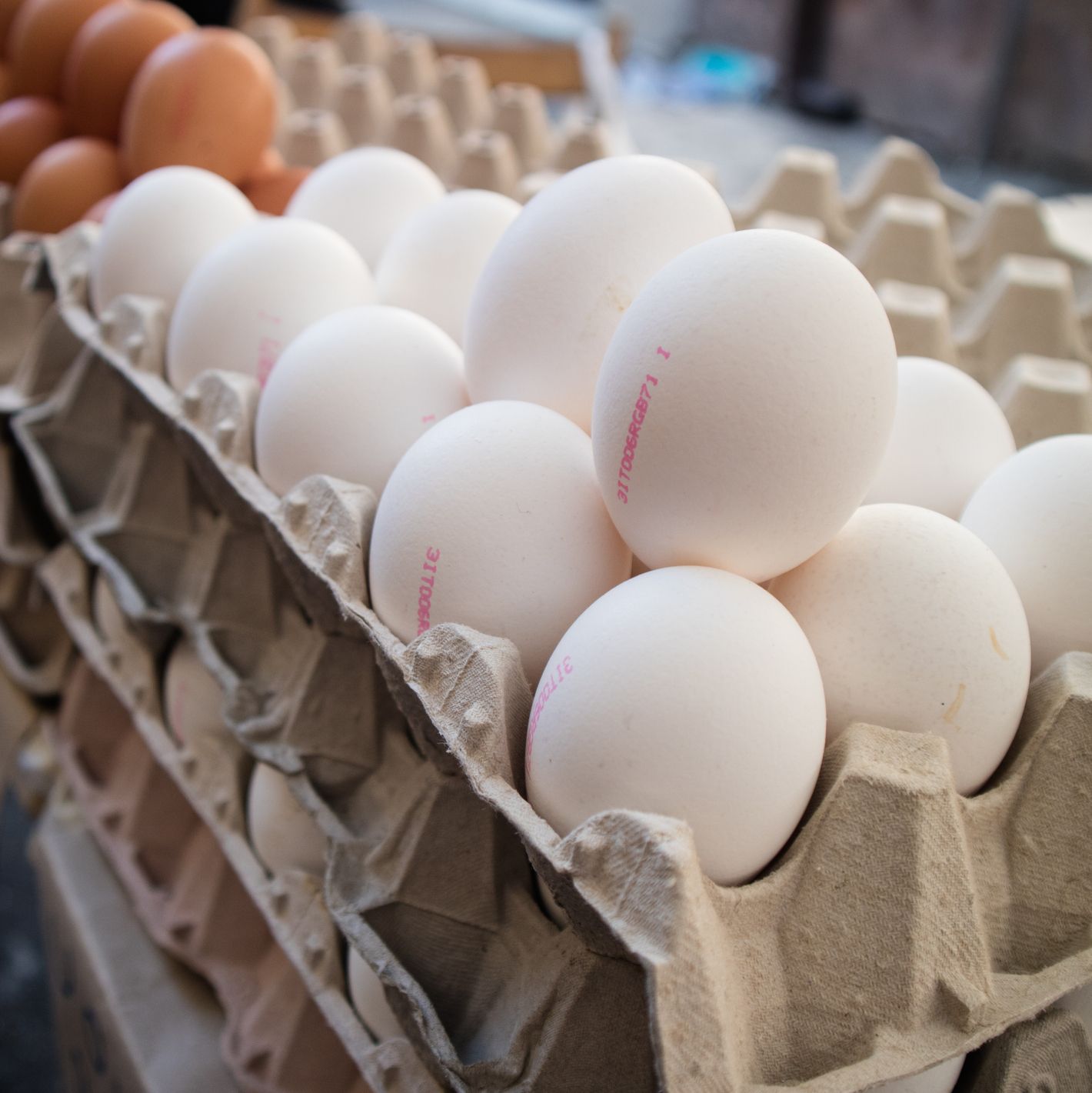 卵の賞味期限切れ、いつまで食べて大丈夫？　見分け方と長持ちする保管方法