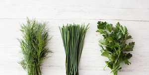 freshly cut dill, chives and flat leaf parsley