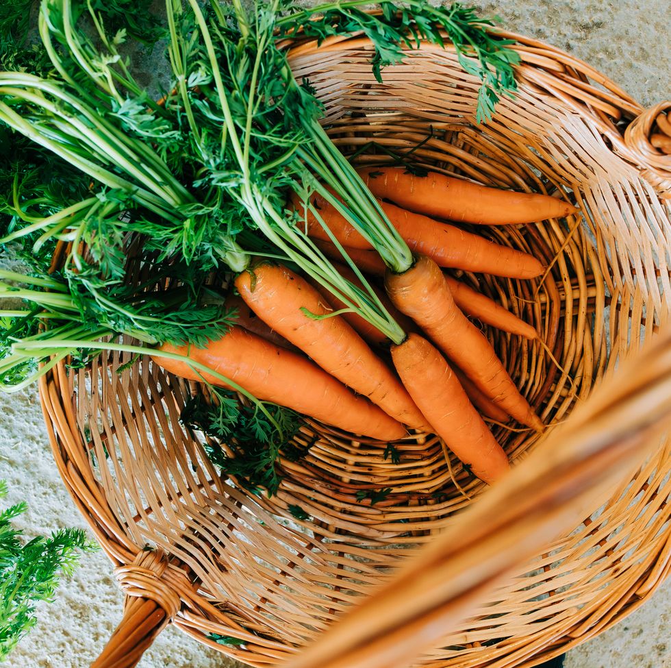 freshly picked carrots n rustic wicker basket