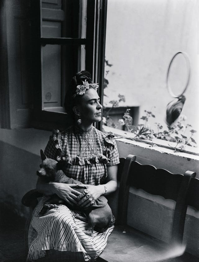 Frida Kahlo, piccola guida per conoscere l'artista < Artesplorando