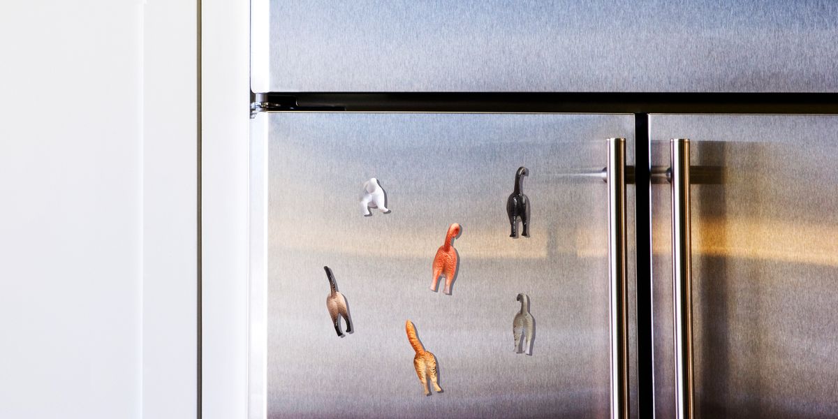 fridge magnets best 2018