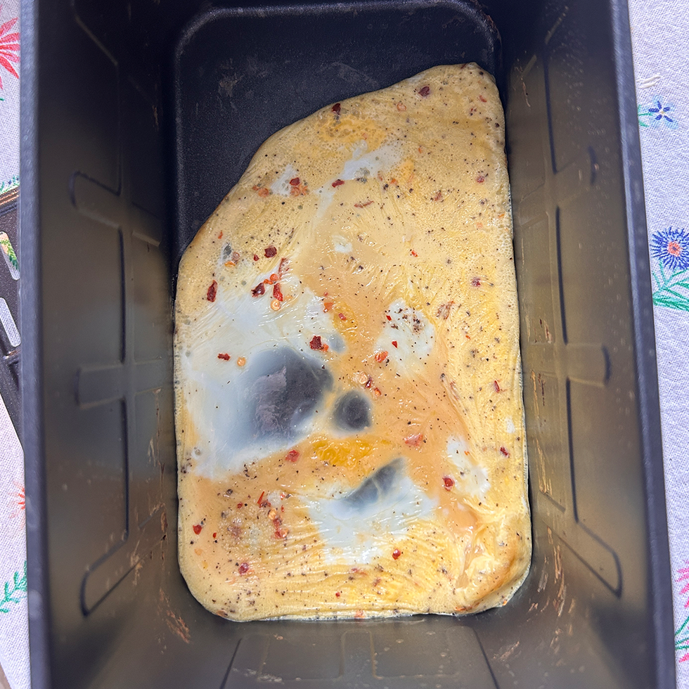 i tried an air fryer