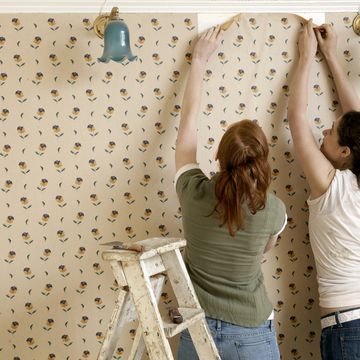 friends beginning to remove wallpaper