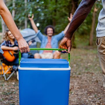 friends carrying cooler while camping in nature