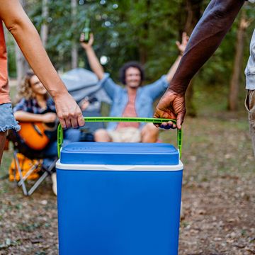 friends carrying cooler while camping in nature