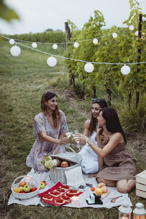 Friends having a summer picnic in vineyard