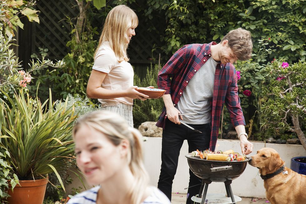 Friends prepare food on barbecue while dog looks on at garden party