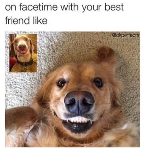 funny memes about best friends