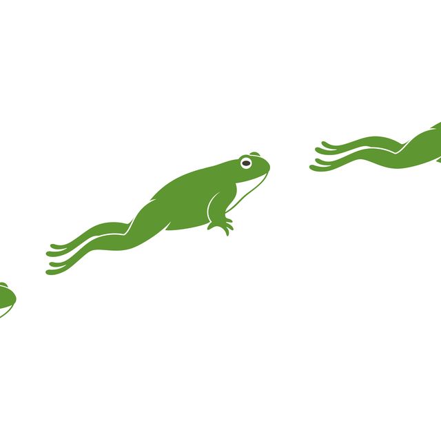 frog jumping isolated frog jumping on white background
