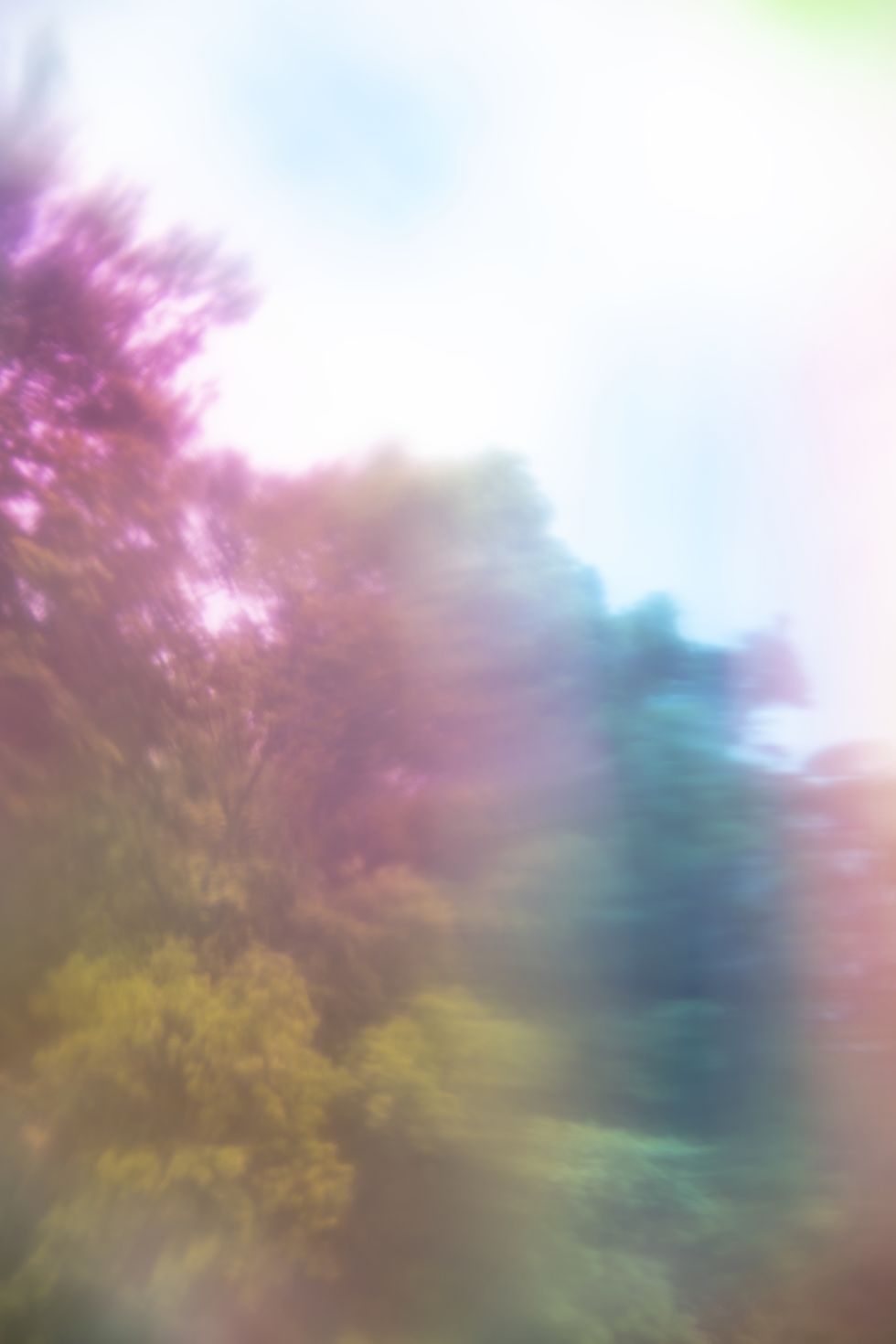 rinko kawauchi, christophe guye galerie, rinko kawauchi, from the series me, alberi, arcobaleno, fotografia, ﻿a faraway shining star, twinkling in hand, ﻿fotografiska stockholm