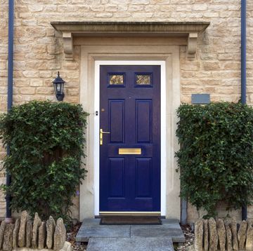 modern blue painted front door flanked by shrubs