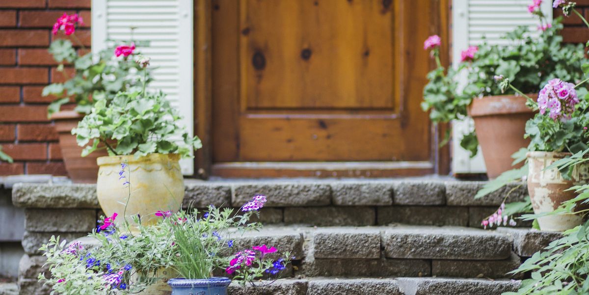 23 Front Door Plants for a Lush, Stylish Arrival Area