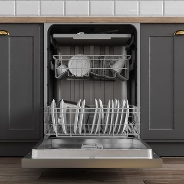 front view of open dishwasher