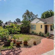 before and after front lawn before and after front lawn