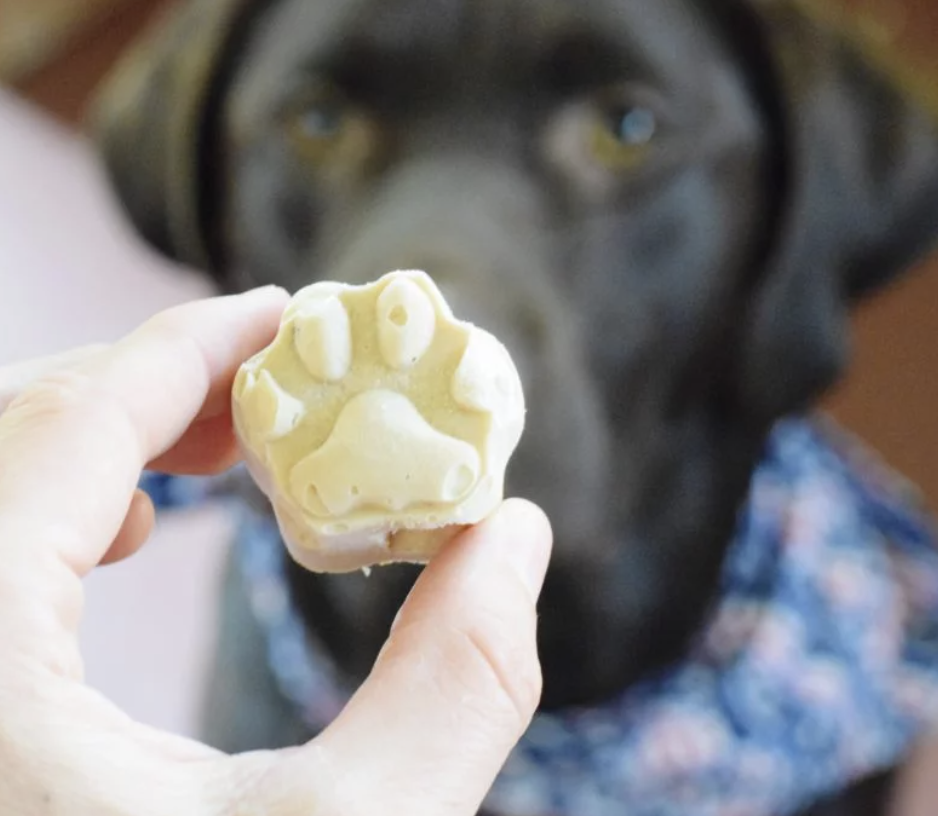 Banana Frozen Dog Treats to keep your Dog cool