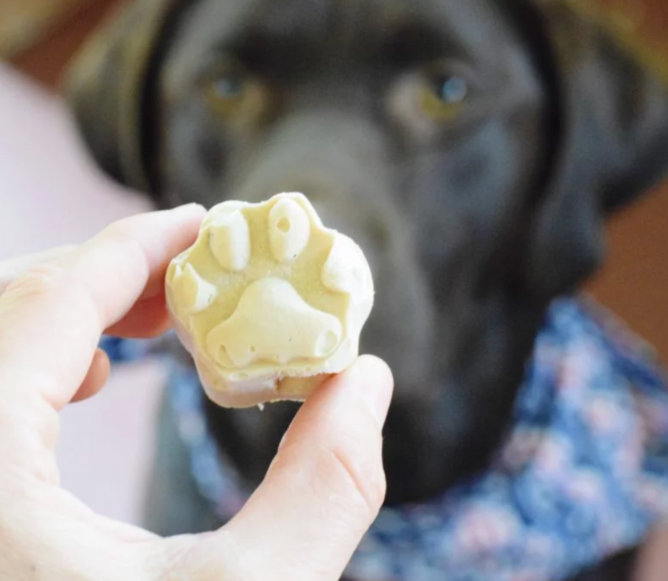 frosty paws treats