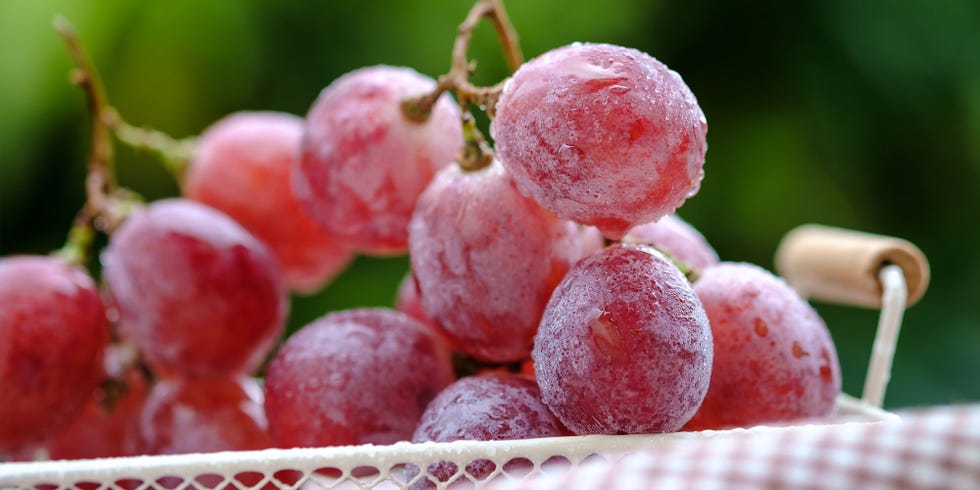 Grape, Fruit, Seedless fruit, Grapevine family, European plum, Food, Natural foods, Plant, Vitis, Flower, 