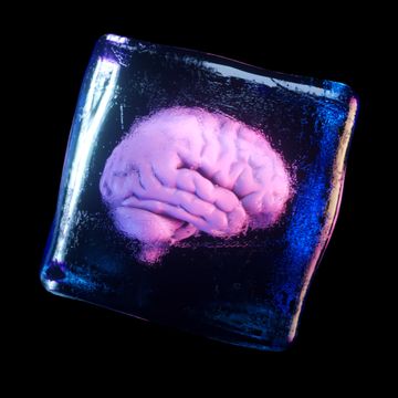 a frozen human brain inside a spinning ice cube 3d illustration