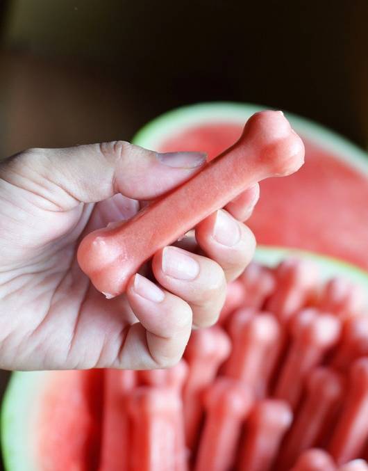 frozen watermelon treats - homemade dog treats