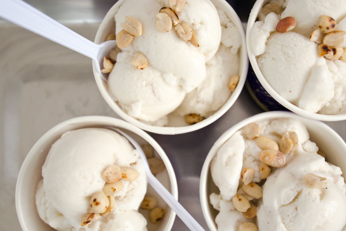 frozen yogurt vs coconut milk ice cream nutrition