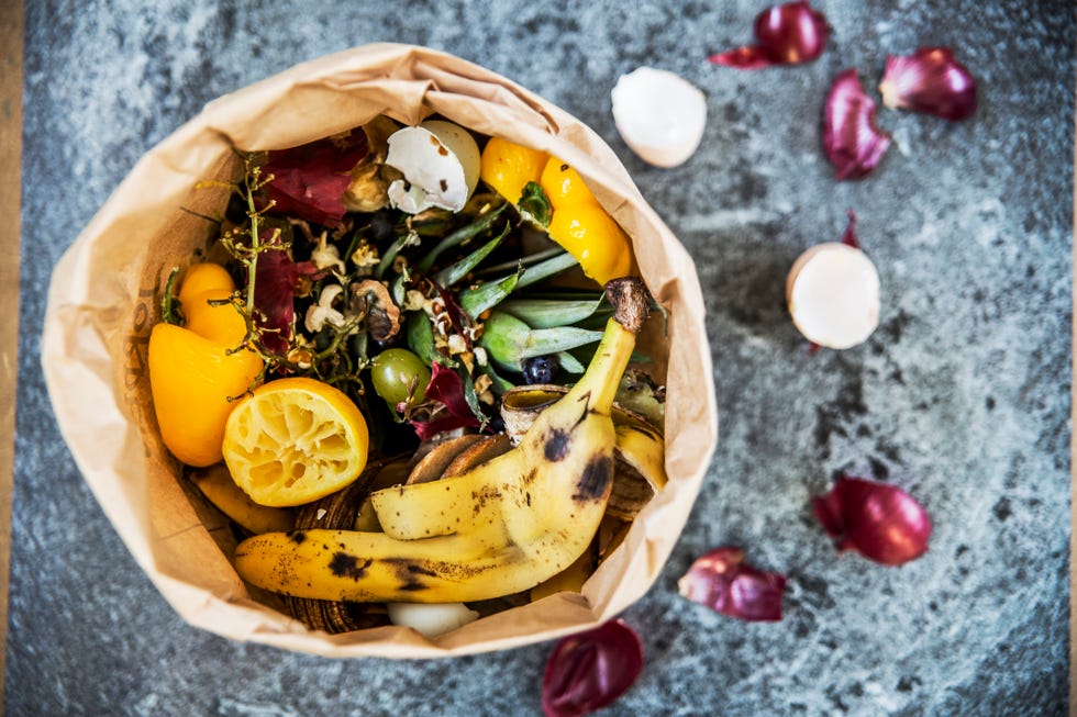 fruit and vegetable scraps