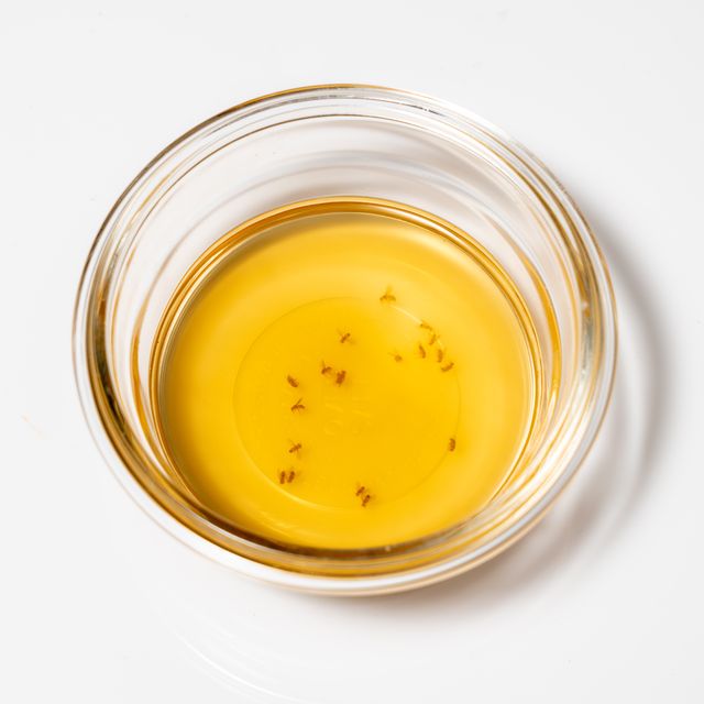 fruit flies collected in a glass bowl with wine or cider vinegar and soap