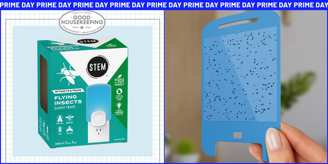 stem light trap indoor fruit fly trap
