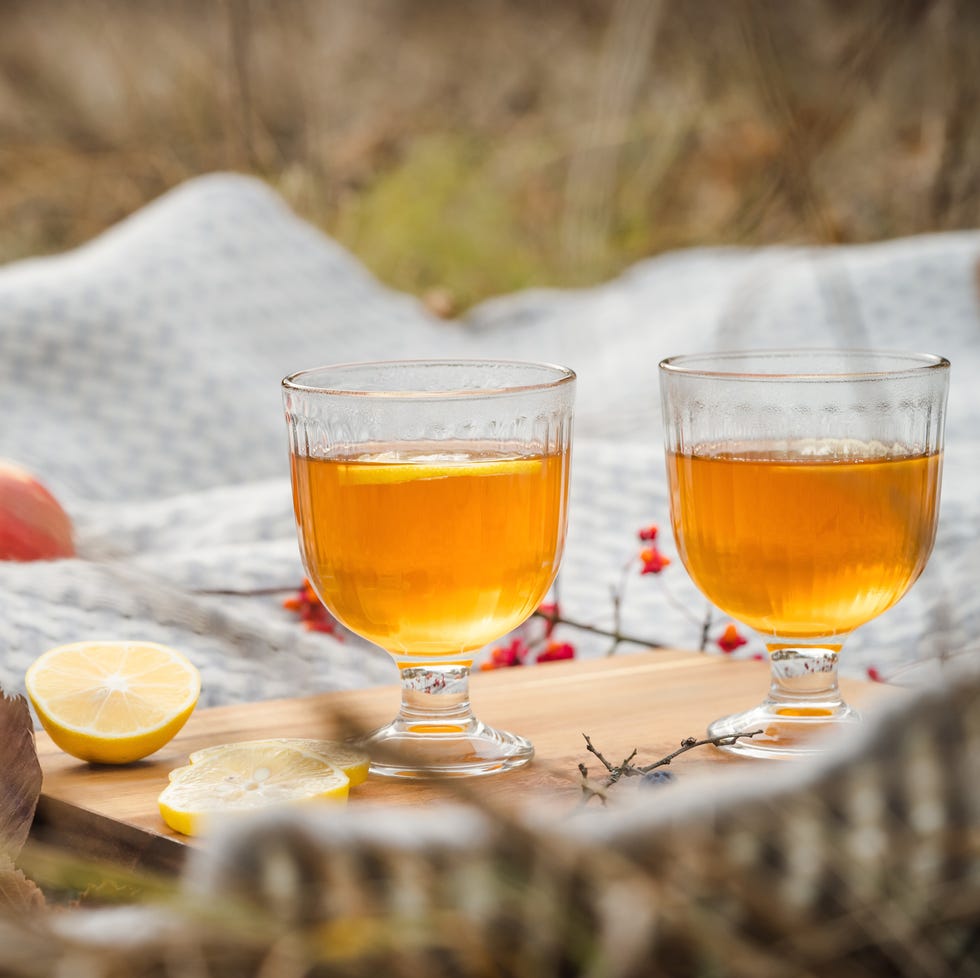 Fruit tea with lemon slices. Romantic autumn picnic fruit tea with lemon slices on a blanket for thanksgiving ideas