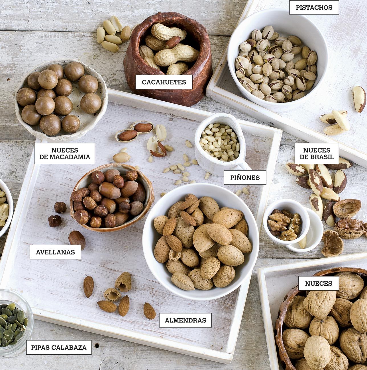 Frutos secos: variedades, propiedades y usos en la cocina