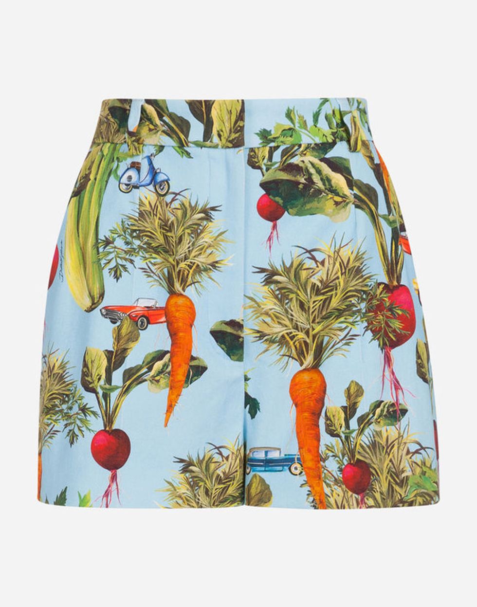Clothing, Pencil skirt, board short, Plant, Shorts, Bromeliaceae, 