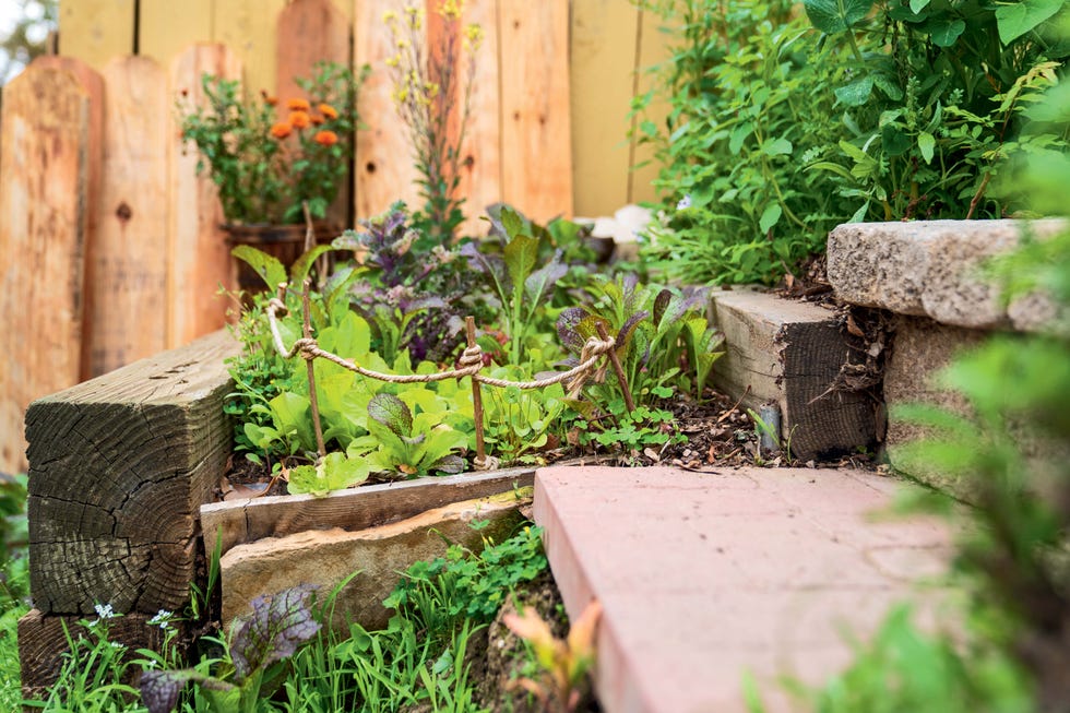 raised bed garden ideas garden between the steps