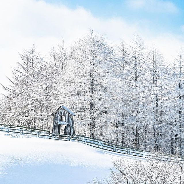 韓國雪景