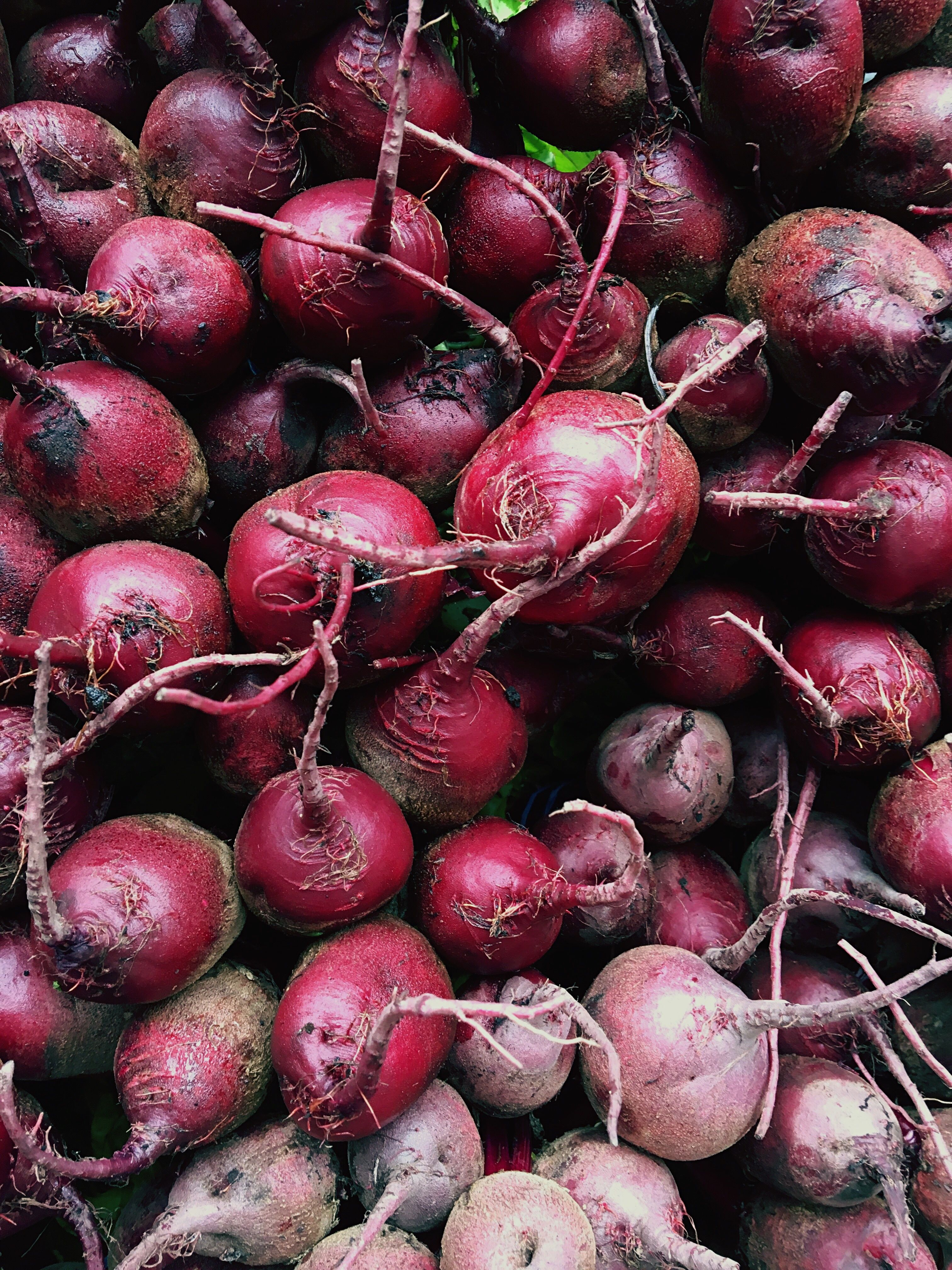Beetroot - Health Benefits & Nutritional Facts