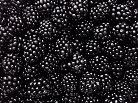Full Frame Shot Of Blackberries At Market