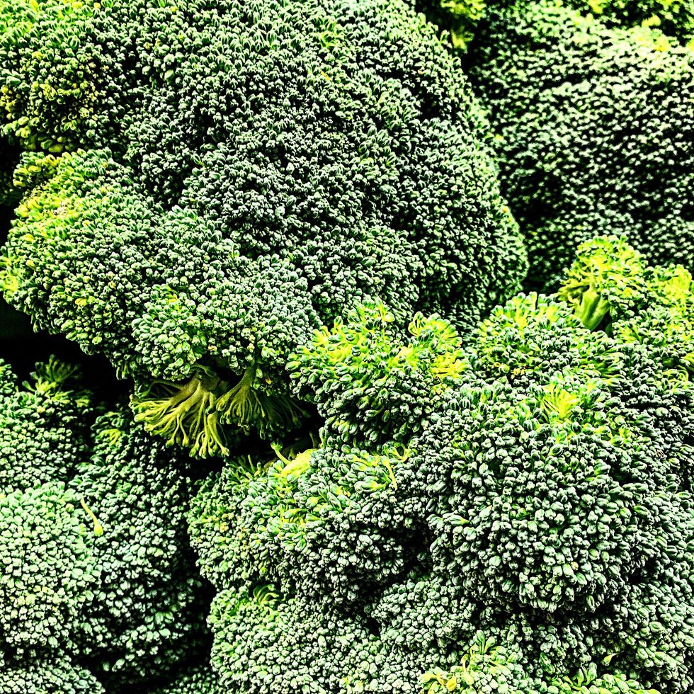 full frame shot of broccolis