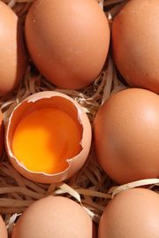 Are Eggs Healthy for You? - The Health Benefits of Eggs