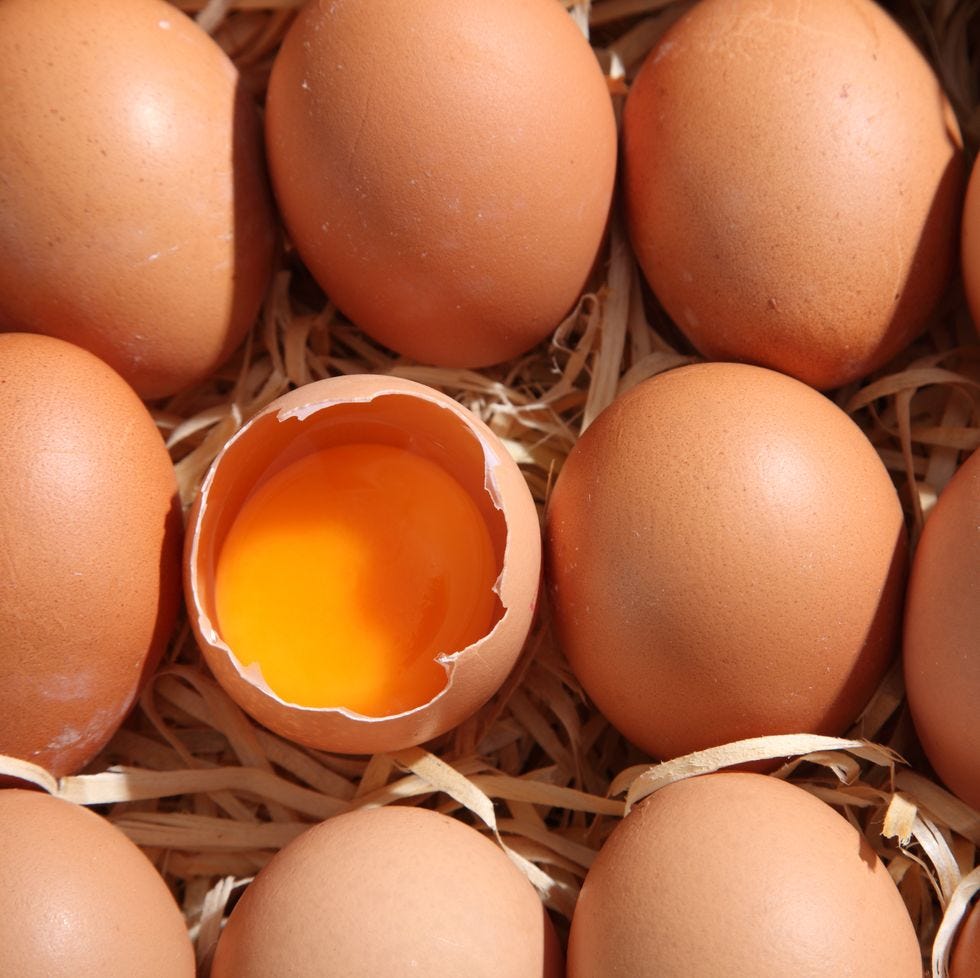 are eggs healthy for you   the health benefits of eggs