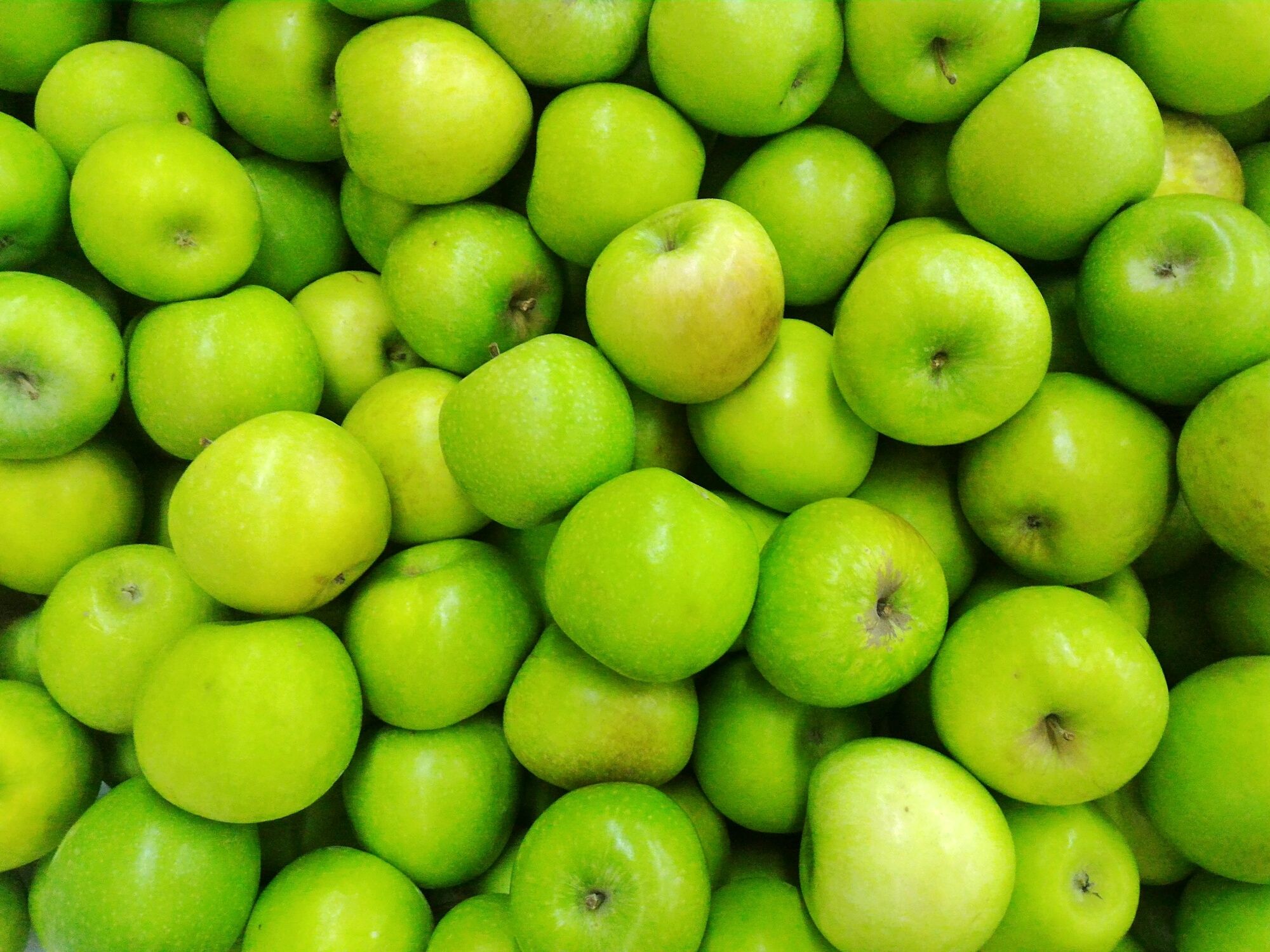 American Apple Varieties and Characteristics - Alphabetical Listing