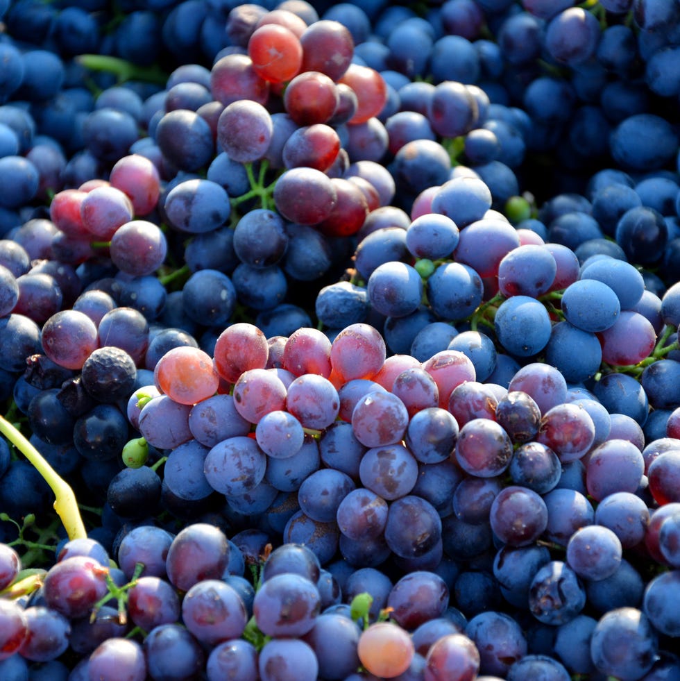 Full Frame Shot Of Grapes