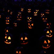 creepy halloween jack o lanterns dark night