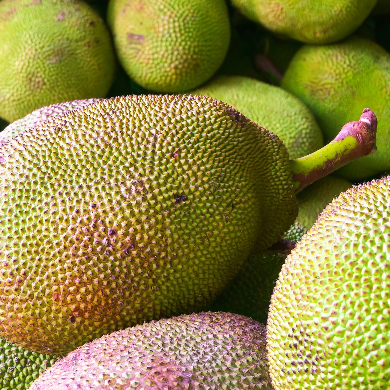 How to cook with jackfruit