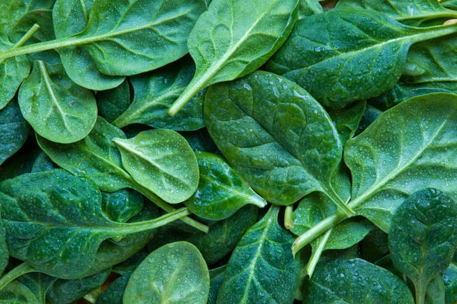 Full frame shot of leaf spinach