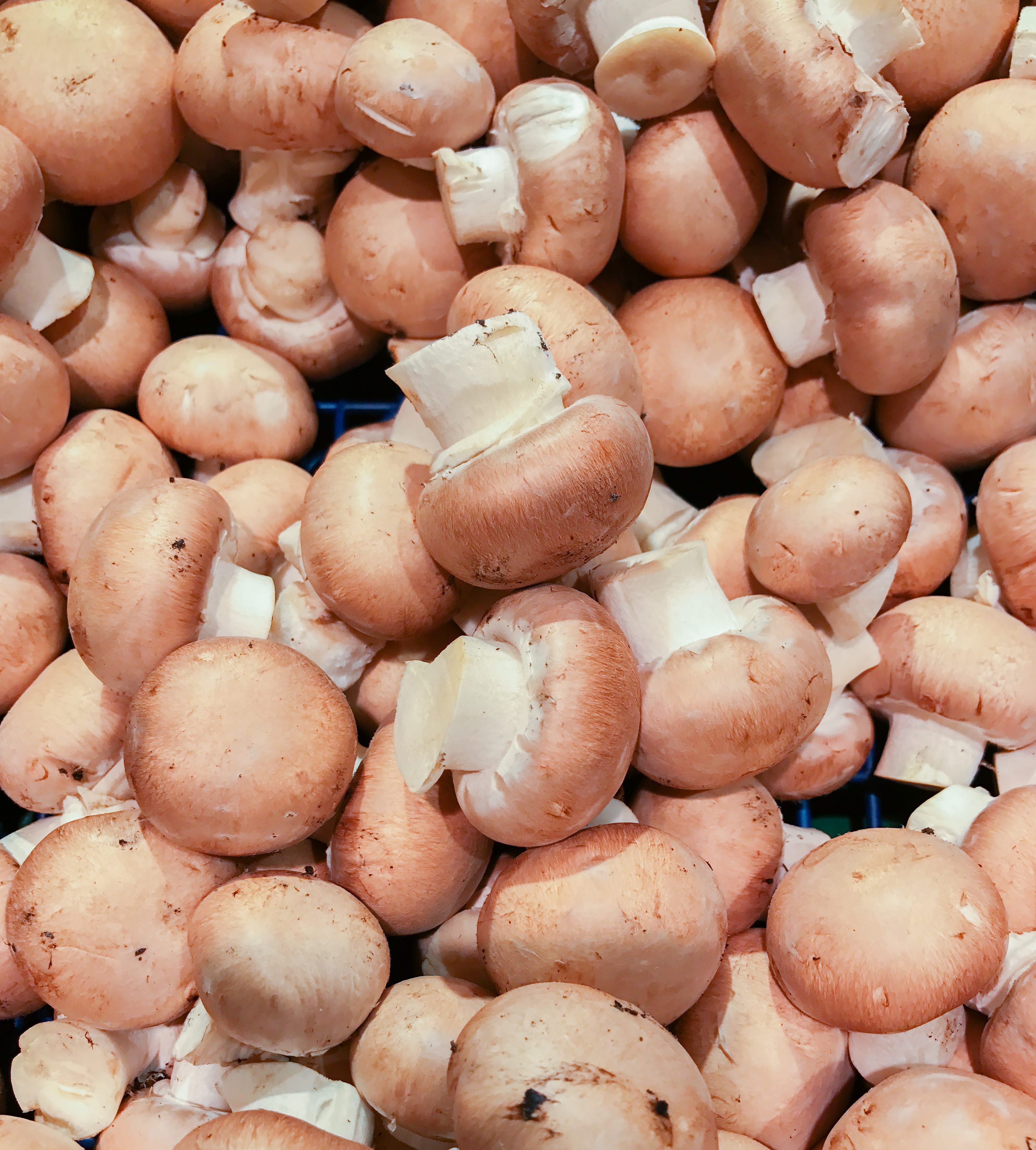Full Frame Shot Of Mushrooms For Sale At Market Stall