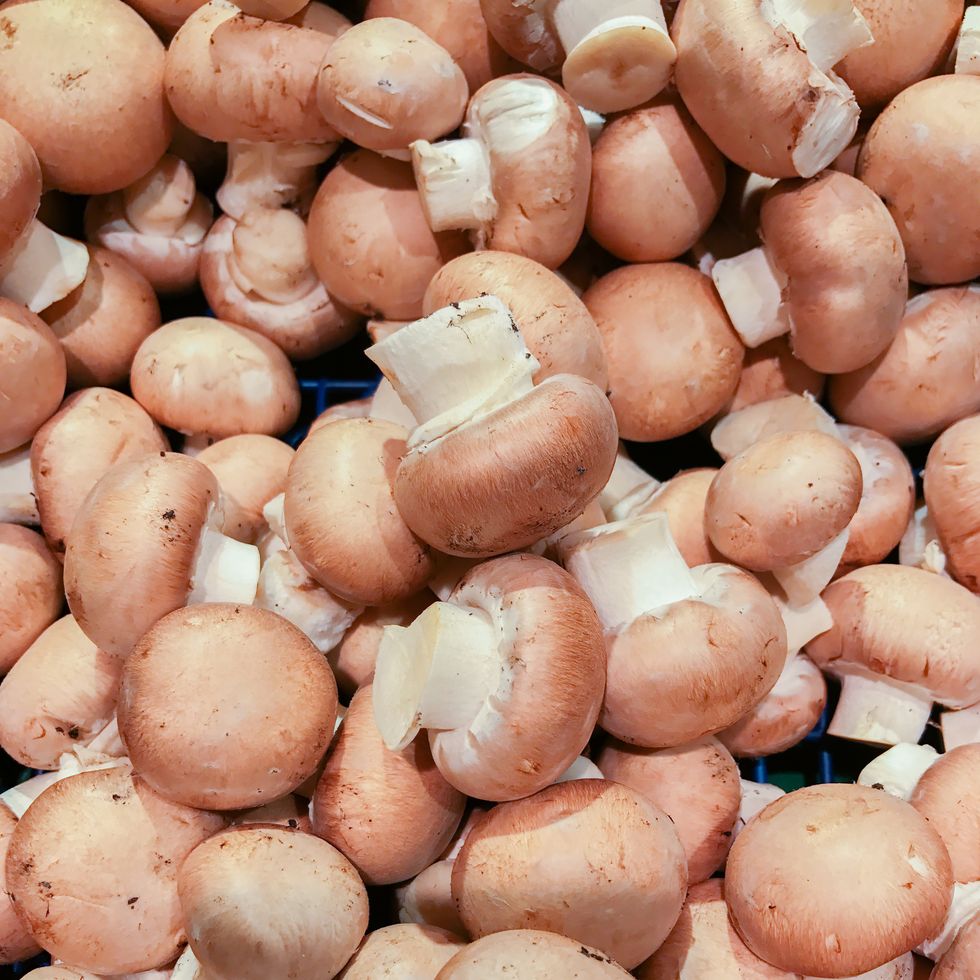 Full Frame Shot Of Mushrooms For Sale At Market Stall