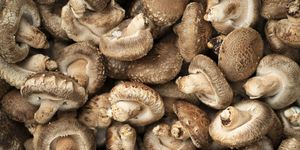 benefits of mushrooms
