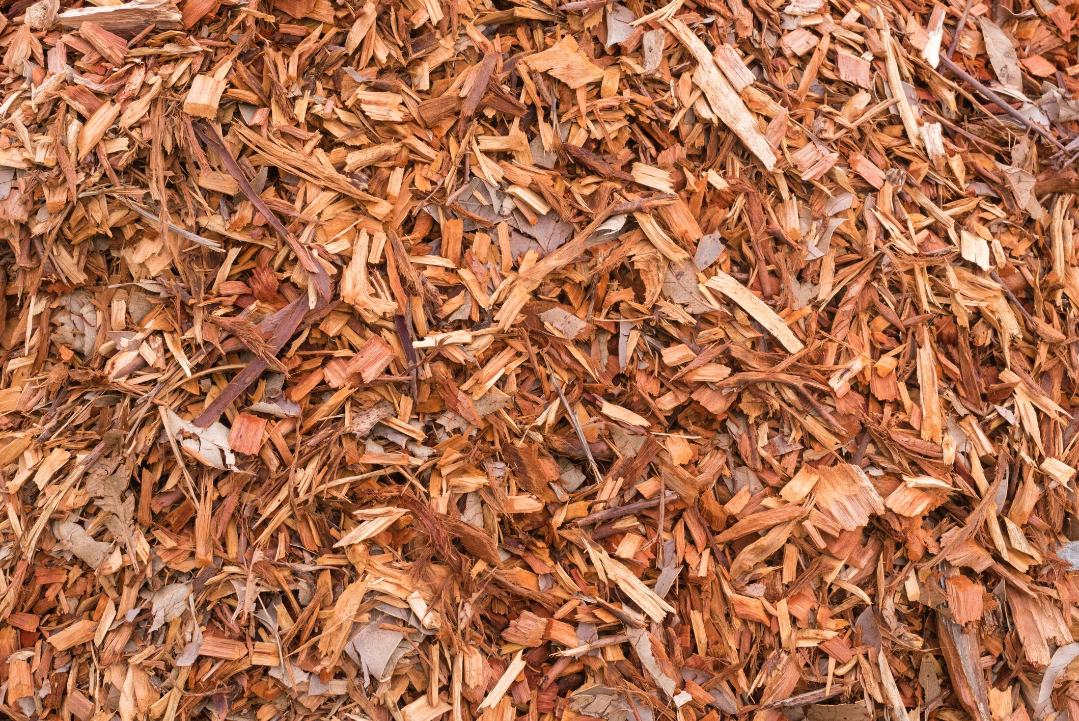 How To Mulch Your Garden 6 Best Types Of Mulch And When To Use Them   Full Frame View Of Mulch Royalty Free Image 1590505610 