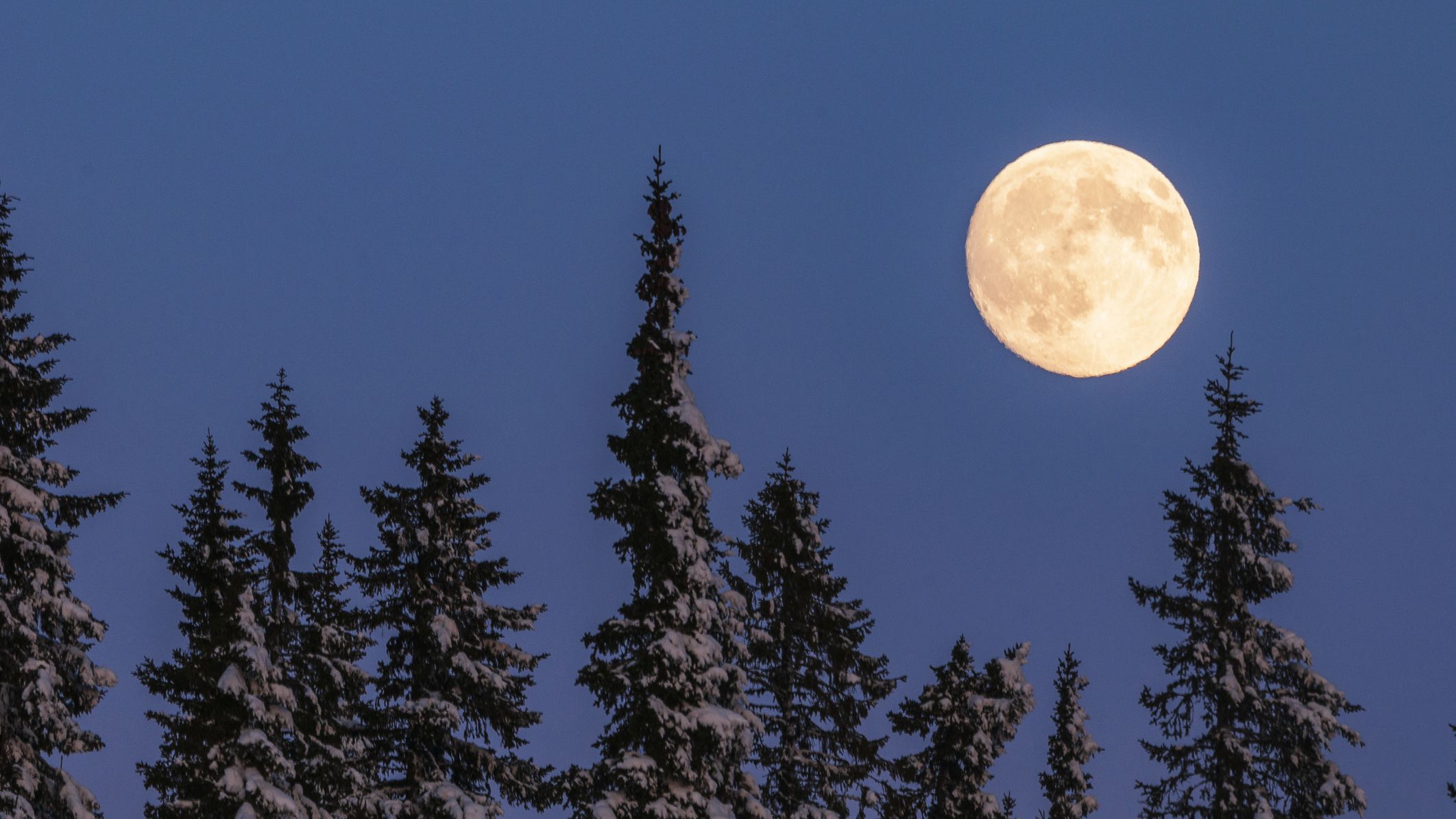 Winter solstice 'long night moon': Get ready for year's last full moon