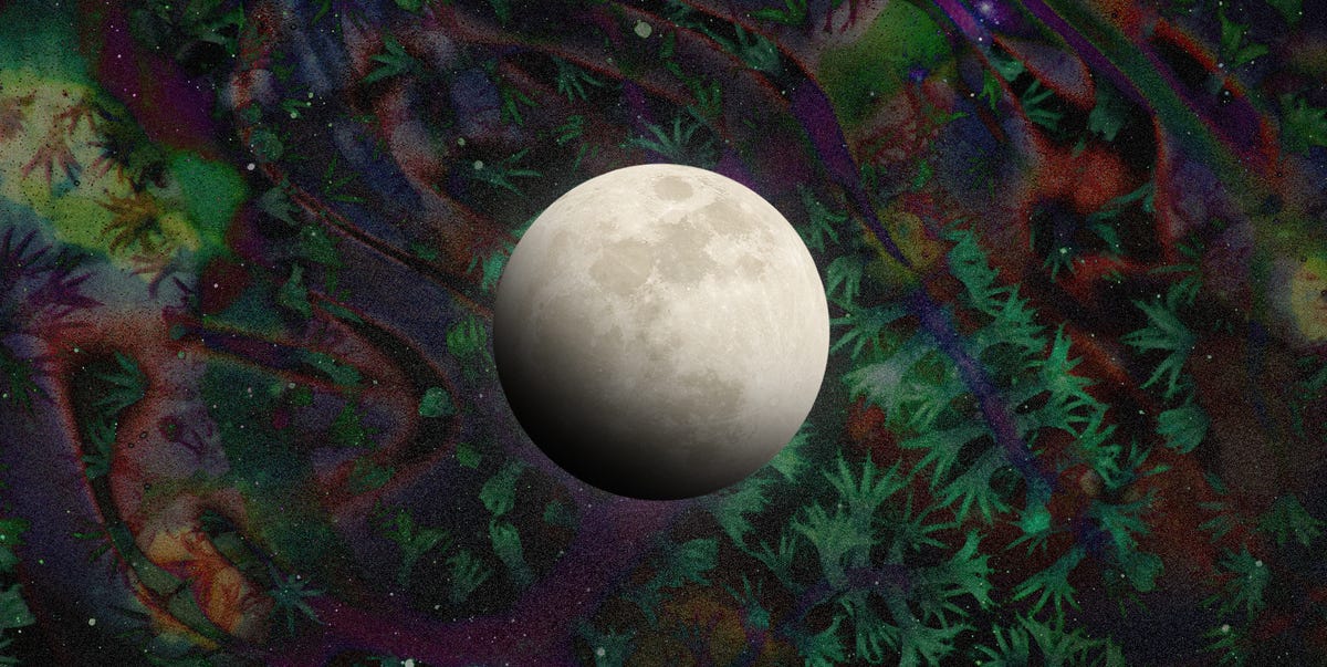 The Meaning of September's Full Moon Lunar Eclipse in Pisces