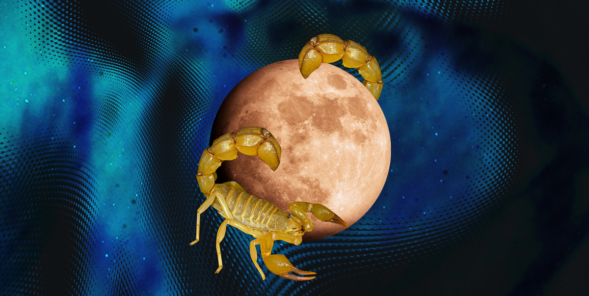 Full Moon Lunar Eclipse in Scorpio May 2023 Date, Meaning